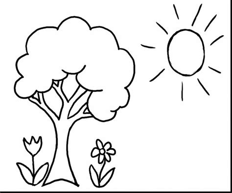 surprising spring tree coloring pages printable  spring coloring