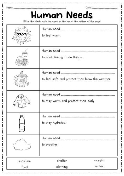 basic   human worksheet   goodimgco