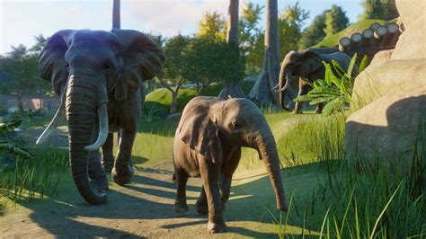 planet zoo  hd wallpapers wallpaper cave