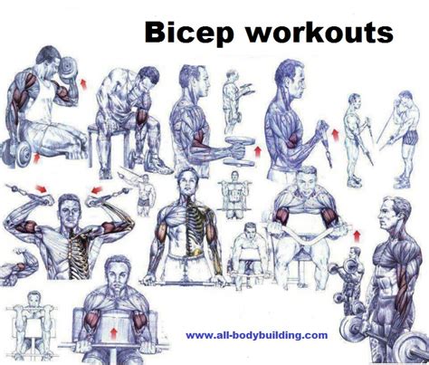 Top 10 Bicep Workout And Bicep Exercise Mistakes Bodydulding