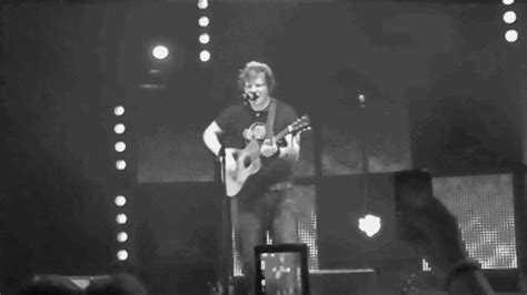 ed sheeran concert s find and share on giphy