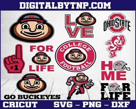ohio state buckeyes svg ncaa football svg dxf eps png cricut cutting file vector clipart