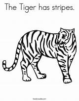 Stripes Tiger Has Coloring Built California Usa sketch template