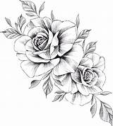 Blumen Vorlage Vorlagen Bleistiftzeichnungen Zeichnen Blume Zeichnung Rosen Query Bunte Orimoto Mandala sketch template