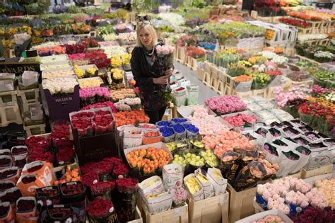 pictures  covent garden flower market opens   day