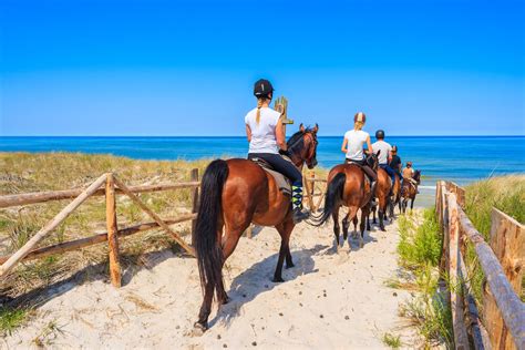 horseback riding  myrtle beach sc giddy  ocean annies resorts