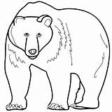 Ours Urs Brun Colorat Planse Animale Salbatice Desene Polar Desenat Poze Copii Sunetul Educatia Conteaza sketch template
