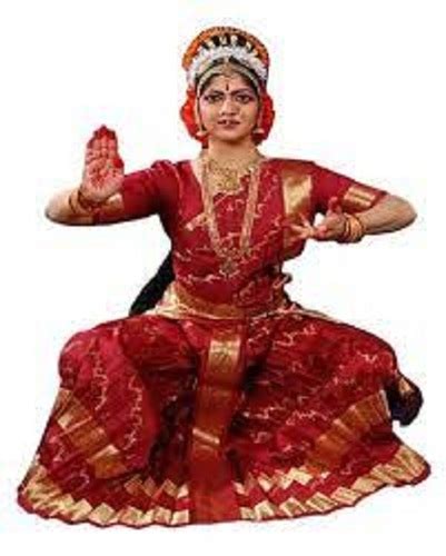 red  golden breathable elegant traditional bharatanatyam dance dress