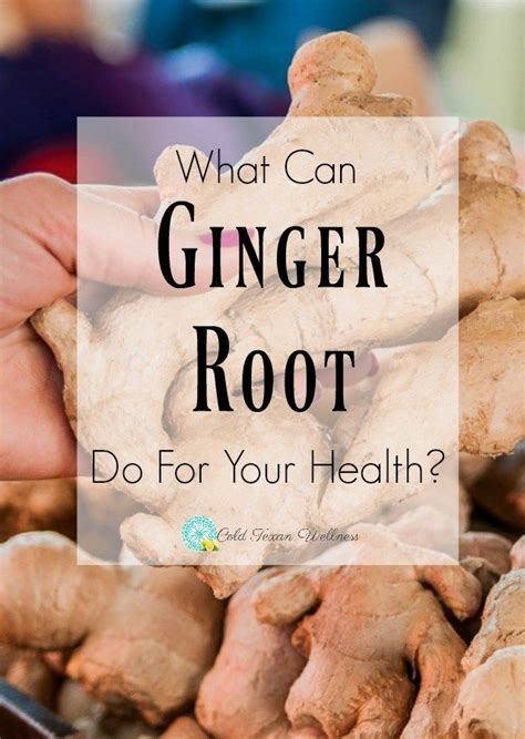 pin on ginger benefits