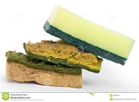 dirty dish washing sponges stock image image  household