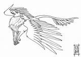 Griffin Coloring Pages Gryphon Morh Printable Lineart Deviantart Color Print sketch template