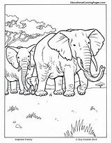 Coloring Pages Animal Elephant Family Mammals Mammal Printable Kids Book Colouring Drawing Print Animals Fun Educational Worksheets Three Drawings Horses sketch template