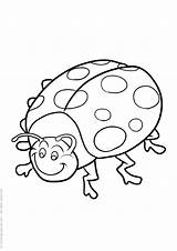 Colorare Colorat Mariquitas Buburuza Coccinella Ladybug Imagini Ro Coccinelle Planse sketch template