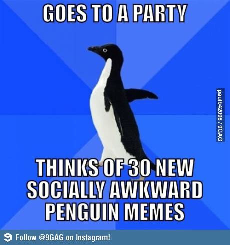 socially awkward penguin funny meme funny memes  pics