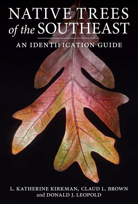 leaf identification guide tree bark identification bmp point