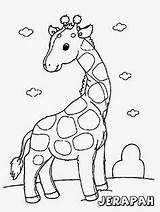 Mewarnai Jerapah Binatang Kartun Hitam Putih Hewan Tk Giraffe Pemberani Paud Buku Diwarnai Cemerlang Terlengkap Sketsa Printable Anakcemerlang Unik Fauna sketch template
