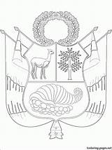 Escudo Turtle Coloringhome Perú sketch template