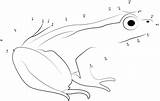 Grenouille Relier sketch template