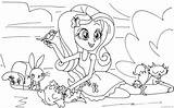 Equestria Fluttershy Pony Kolorowanki Coloring4free Cadence Bestcoloringpagesforkids sketch template