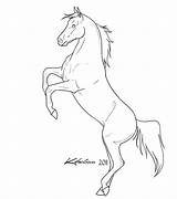 Horse Rearing Coloring Pages Drawings Lineart Sketch Outline Deviantart Pencil Drawing Arabian Animals Horses Stallion Color Mustang Printable Step Print sketch template