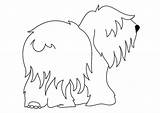Bobtail Coloring Dog Pages Large sketch template