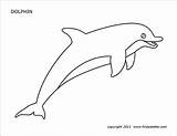 Dolphins sketch template