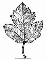 Leaf Herbst Primarygames Boyama Malvorlagen Yaprak Mandalas Druckbare Verwendung Klassenzimmer Grundschule Mangala Resim Otono Resmi Kunstunterricht Ahornblatt Feuille Thanksgiving Oencesi sketch template