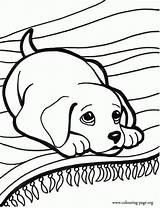 Puppy Coloring Print Choose Board Lonely Pages Letscolorit sketch template