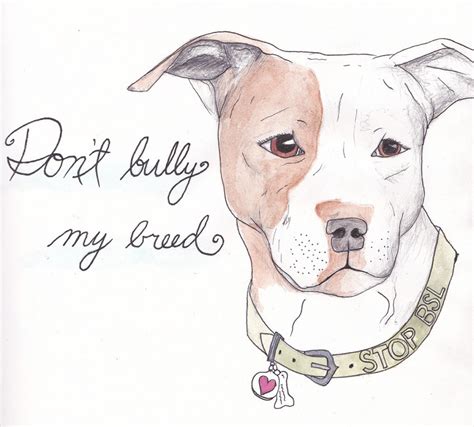 Against The Pit Bull Ban Opinions The Link