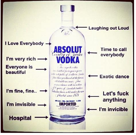 Absolut Vodka Drinking Stages Random Lifestyle