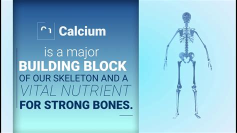 why is calcium important youtube