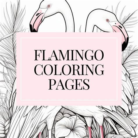 flamingo coloring pages  kids  adults makenstitch