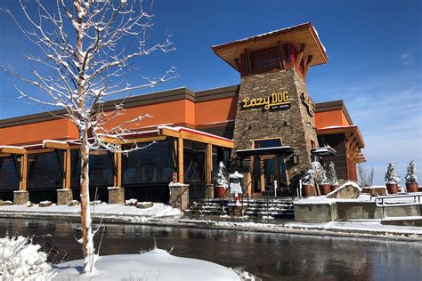 lazy dog restaurant bar welcomes location  southlands mall