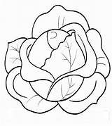 Cabbage Coloring Pages Fruits Vegetables Print sketch template