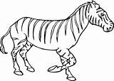 Zebra Coloring Pages Kids Zebras Drawing Baby Cute Head Printable Color Super Clipart Supercoloring Getdrawings Getcolorings Gif Print Comments sketch template