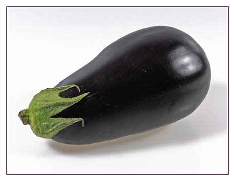 aubergine foto bild stillleben food fotografie obst gemuese