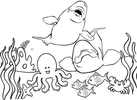 epic beluga whale coloring pages  kids coloring pages