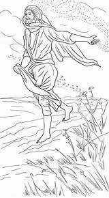 Sower Parable Coloring Drawing Color sketch template