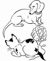 Dachshund Drawing Stencil Silhouette Dachshunds Getdrawings sketch template