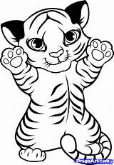 Coloring Pages Jaguar Baby Clipartmag Cute sketch template