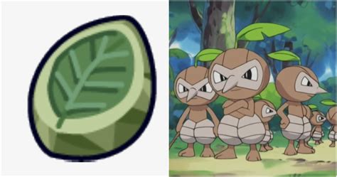 pokemon  pokemon  evolves   leaf stone