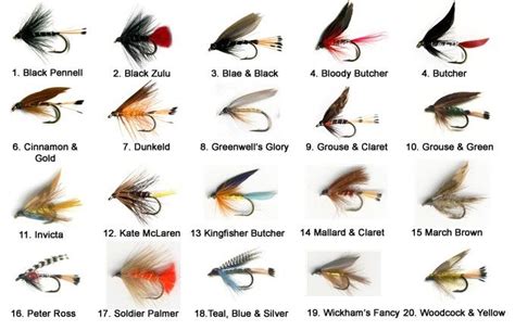 fly chart fly fishing flies trout fly fishing fly fishing tips