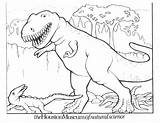 Coloring Dinosaur Pages Rex Printable Kids Comments sketch template