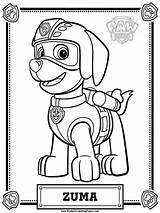 Coloring Pages Patrol Paw Zuma sketch template