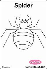 Bug Spider sketch template