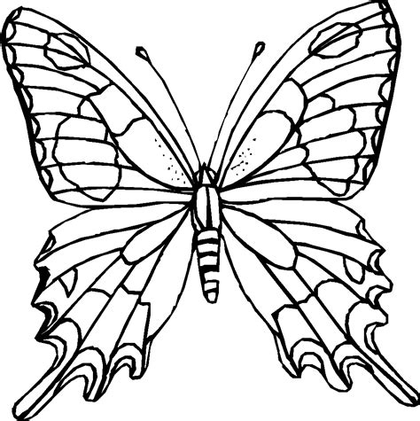 butterfly wing outline clipart