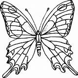 Outline Butterflies Colouring Butterfly Coloring Pages Clipart Wings Wing Printable Flower Drawing Color Clipartbest Tracing Realistic sketch template