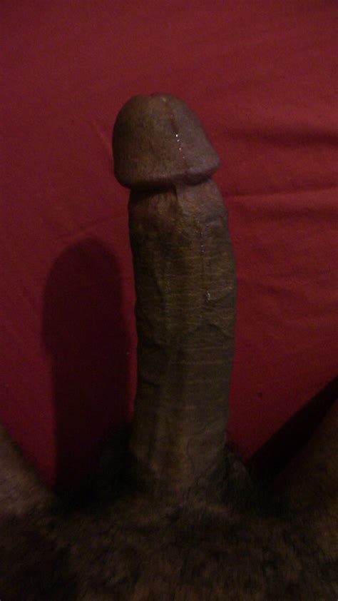 my big black cock measured 8 inches bbc 4 pics xhamster