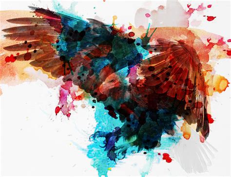 bird  prey digital art  barroa artworks