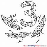 Coloring Pages Numbers Peas Sheet Title Coloringpagesfree Education sketch template